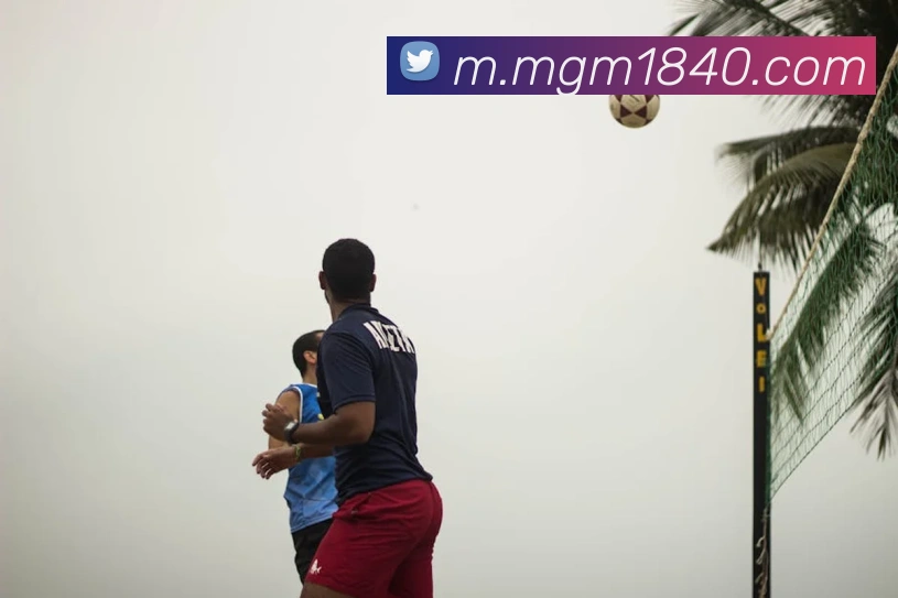 奖项证书
